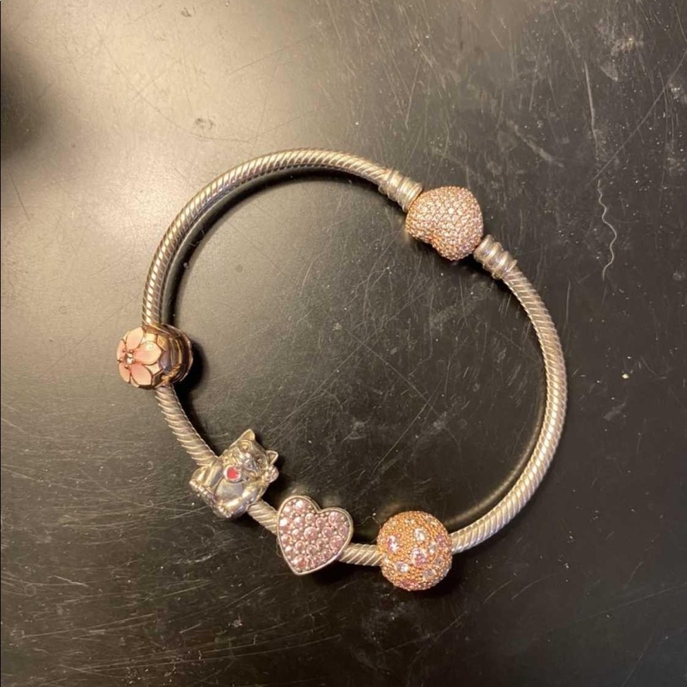 Pandora bracelet with charms